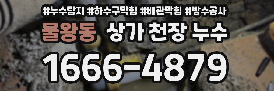 물왕동 상가 천장 누수