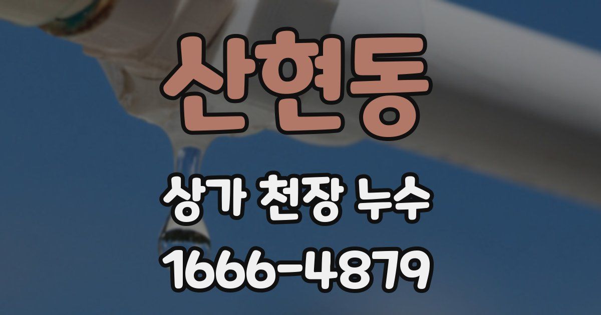 산현동 상가 천장 누수