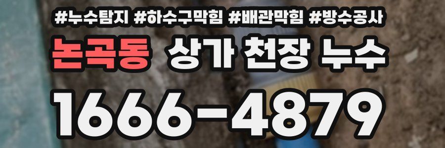 논곡동 상가 천장 누수