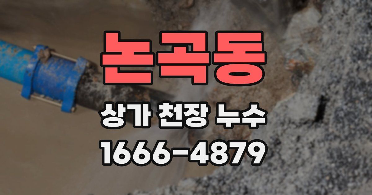 논곡동 상가 천장 누수