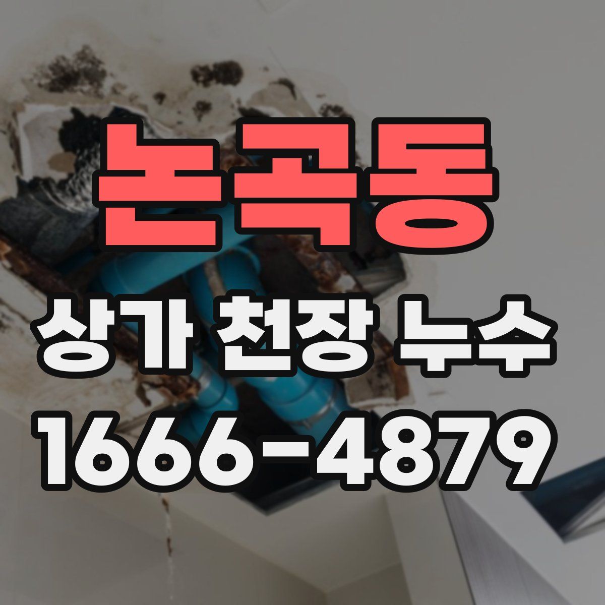 논곡동 상가 천장 누수