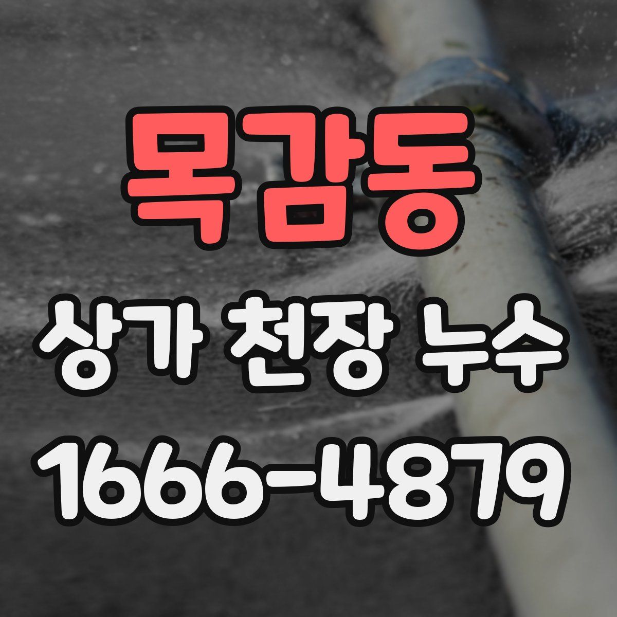 목감동 상가 천장 누수