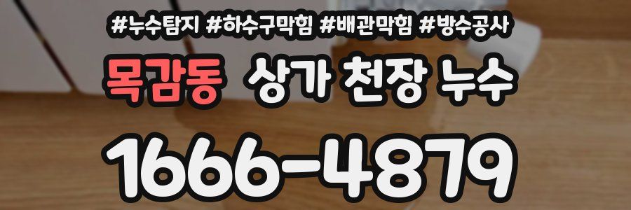 목감동 상가 천장 누수