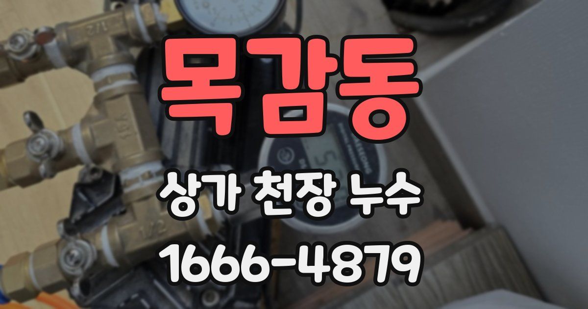 목감동 상가 천장 누수