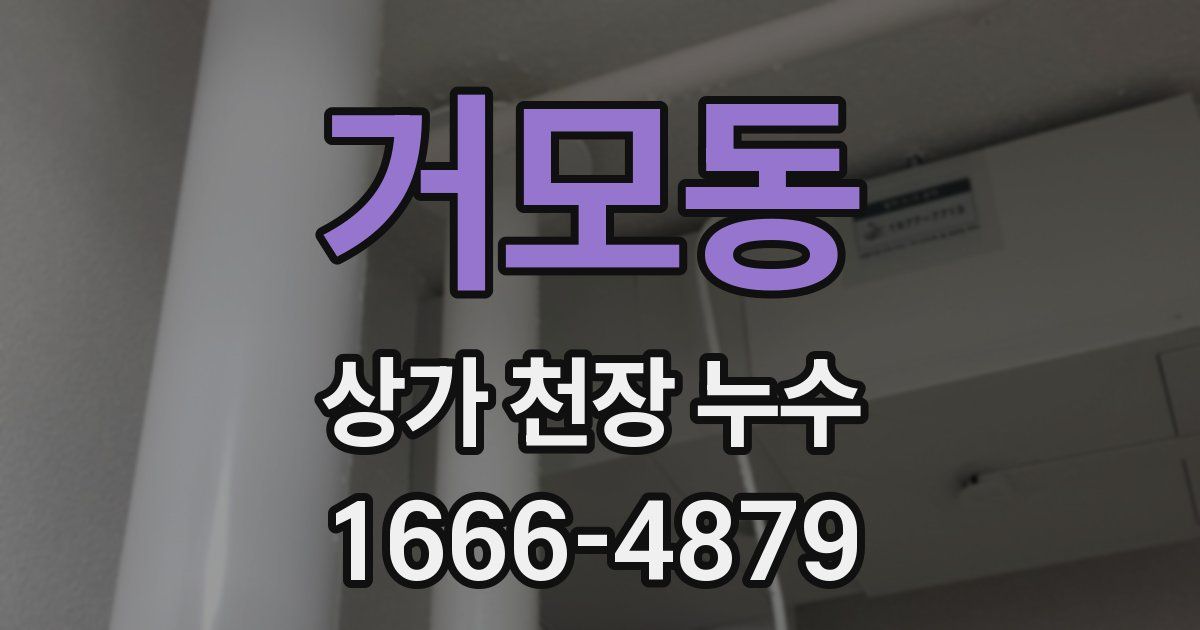 거모동 상가 천장 누수