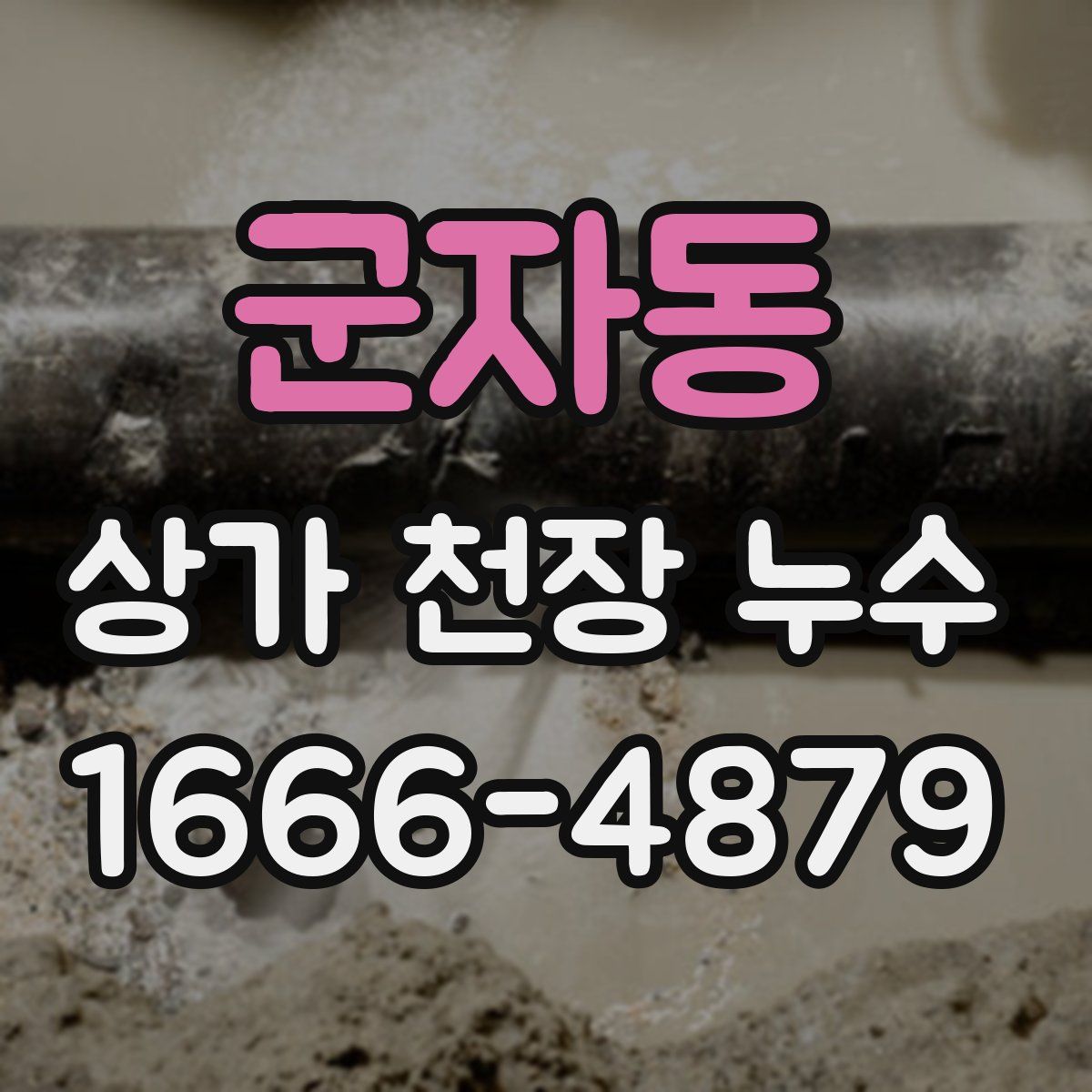 군자동 상가 천장 누수