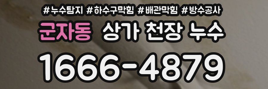 군자동 상가 천장 누수