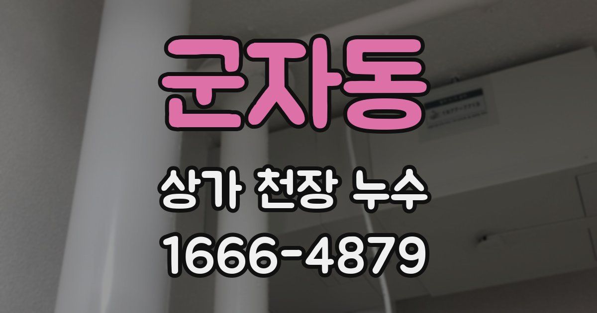 군자동 상가 천장 누수