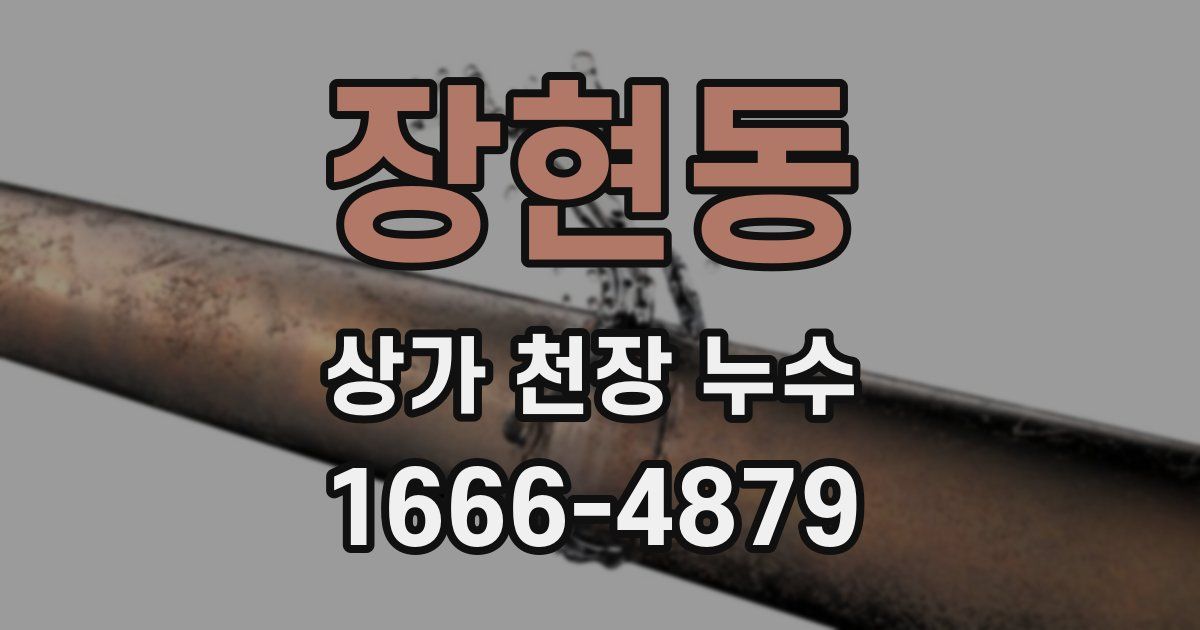 장현동 상가 천장 누수