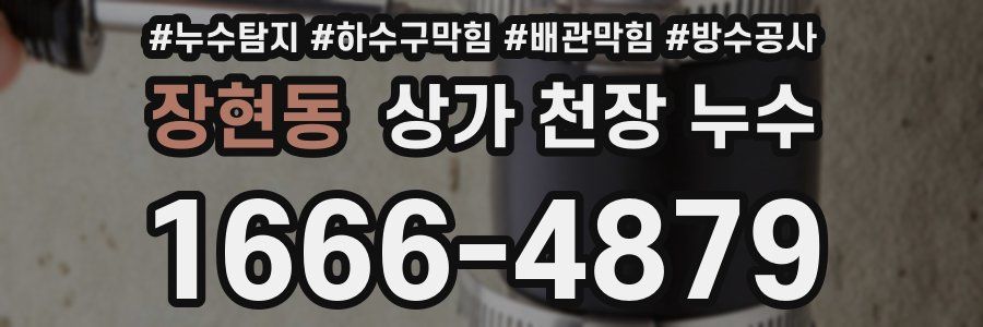 장현동 상가 천장 누수