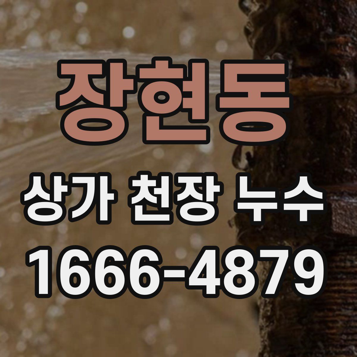 장현동 상가 천장 누수