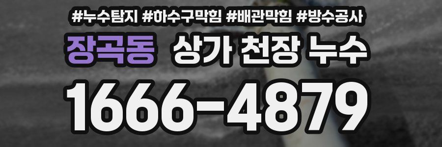장곡동 상가 천장 누수