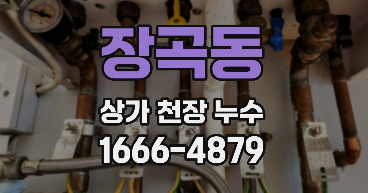 장곡동 상가 천장 누수