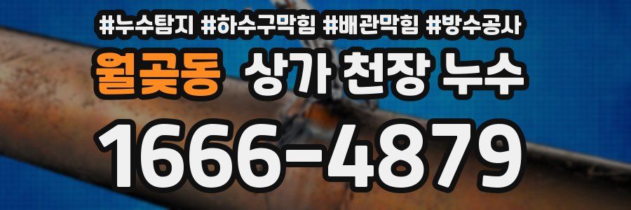 월곶동 상가 천장 누수