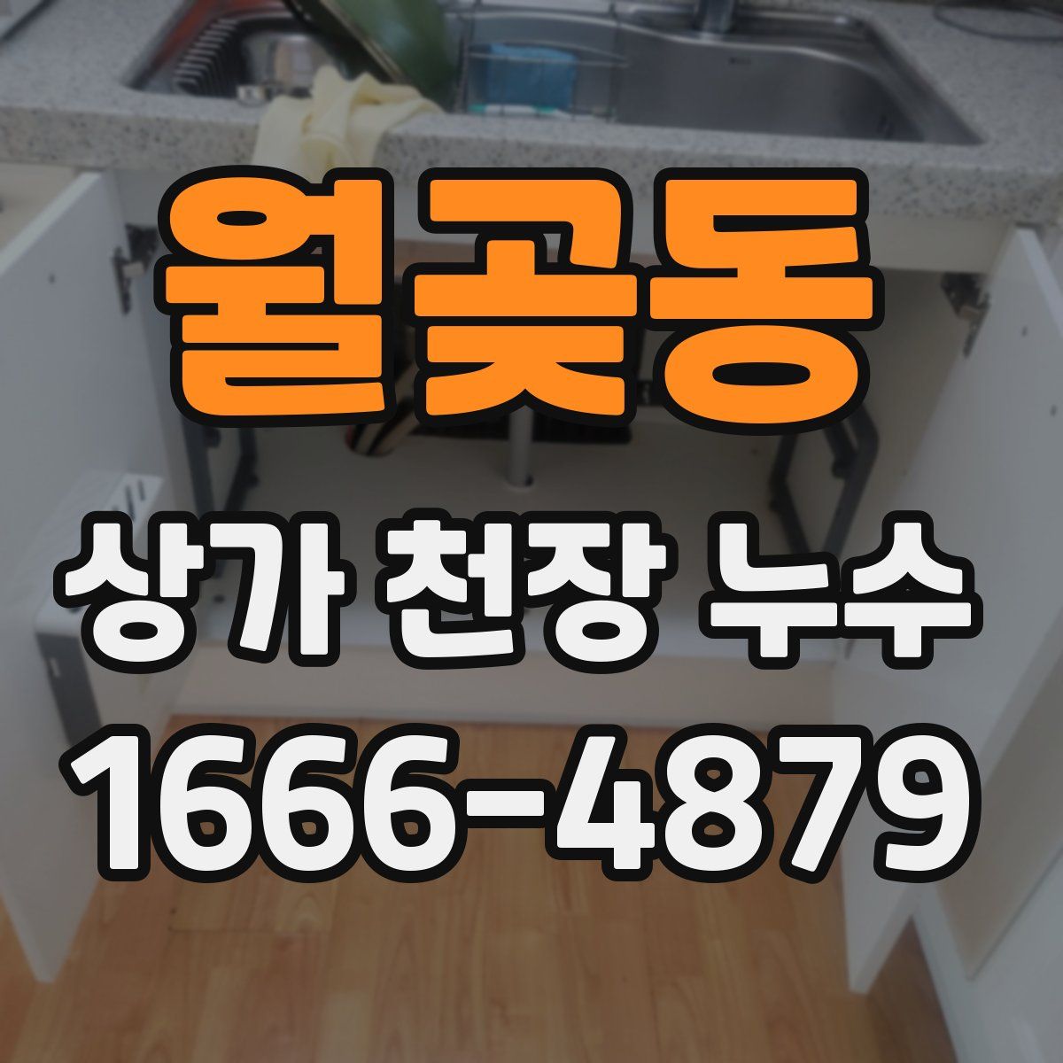 월곶동 상가 천장 누수