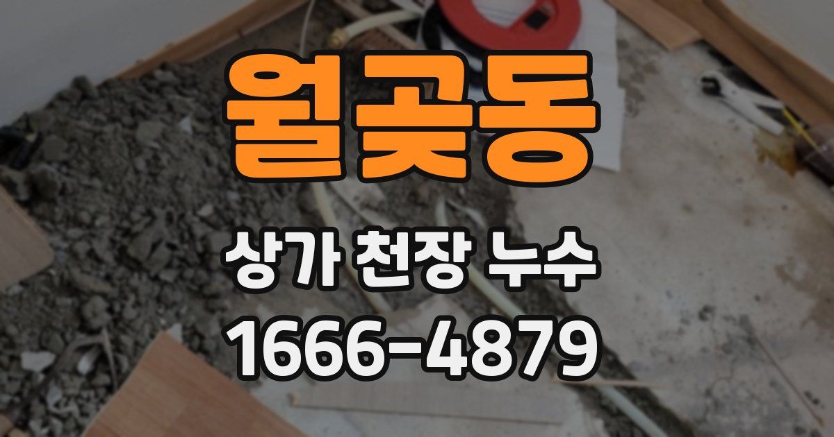 월곶동 상가 천장 누수