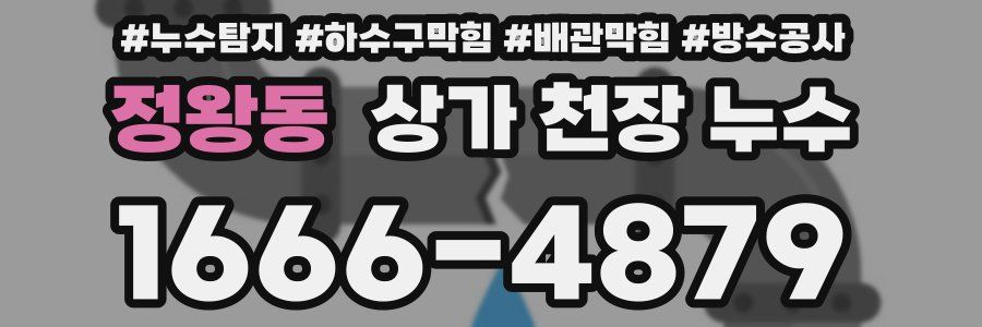 정왕동 상가 천장 누수
