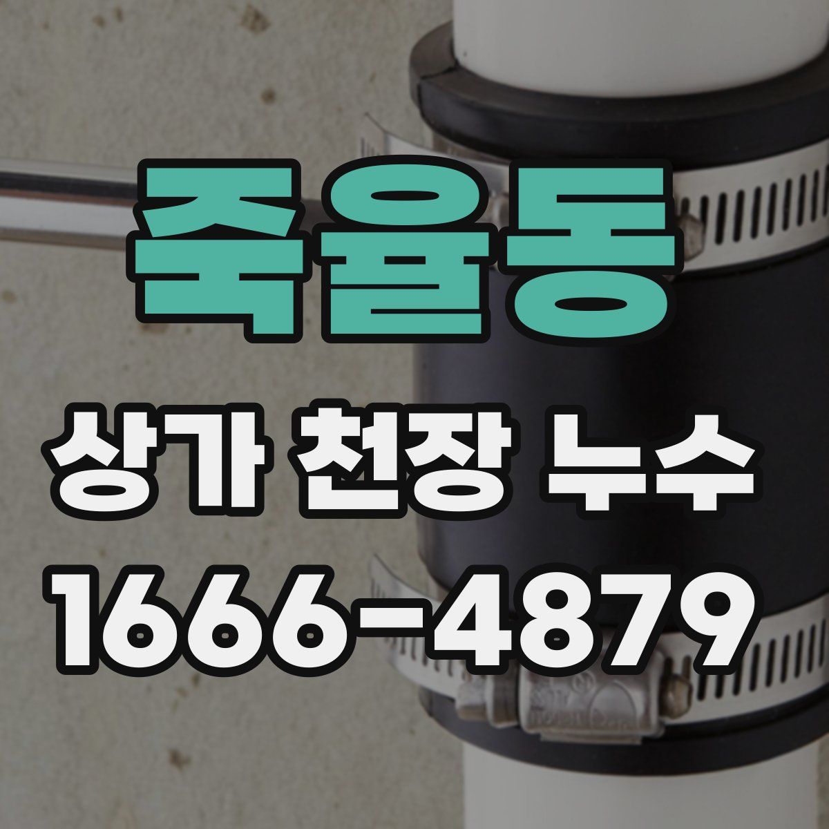 죽율동 상가 천장 누수