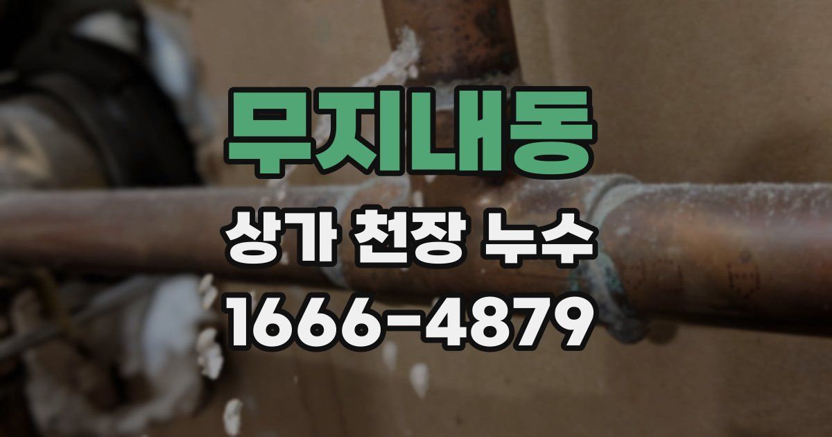 무지내동 상가 천장 누수
