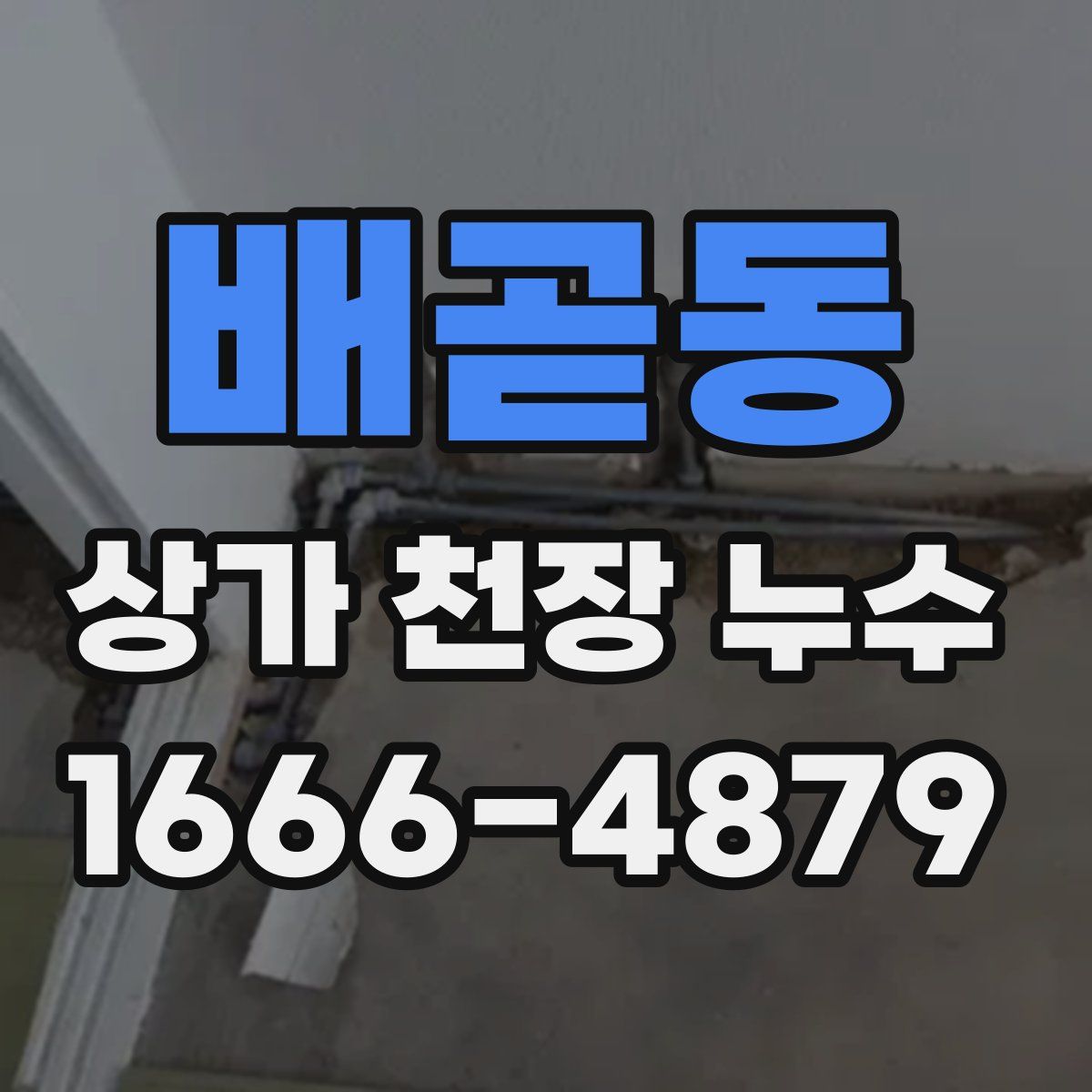 배곧동 상가 천장 누수