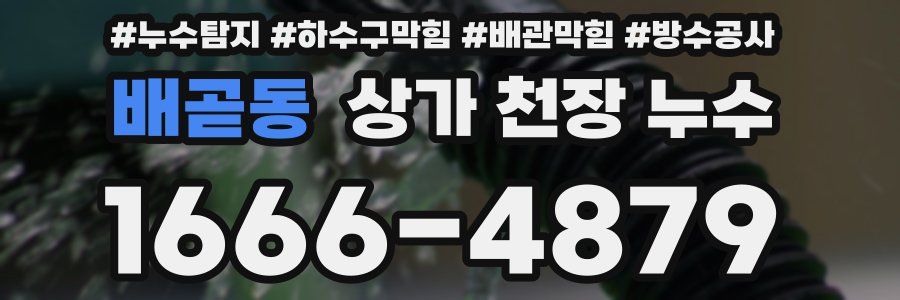 배곧동 상가 천장 누수