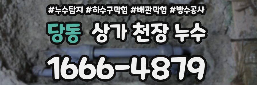 당동 상가 천장 누수