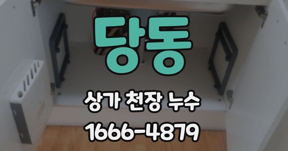당동 상가 천장 누수