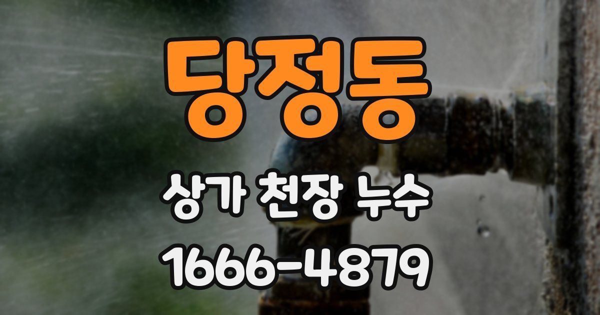 당정동 상가 천장 누수
