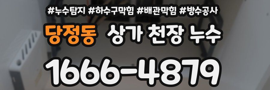 당정동 상가 천장 누수