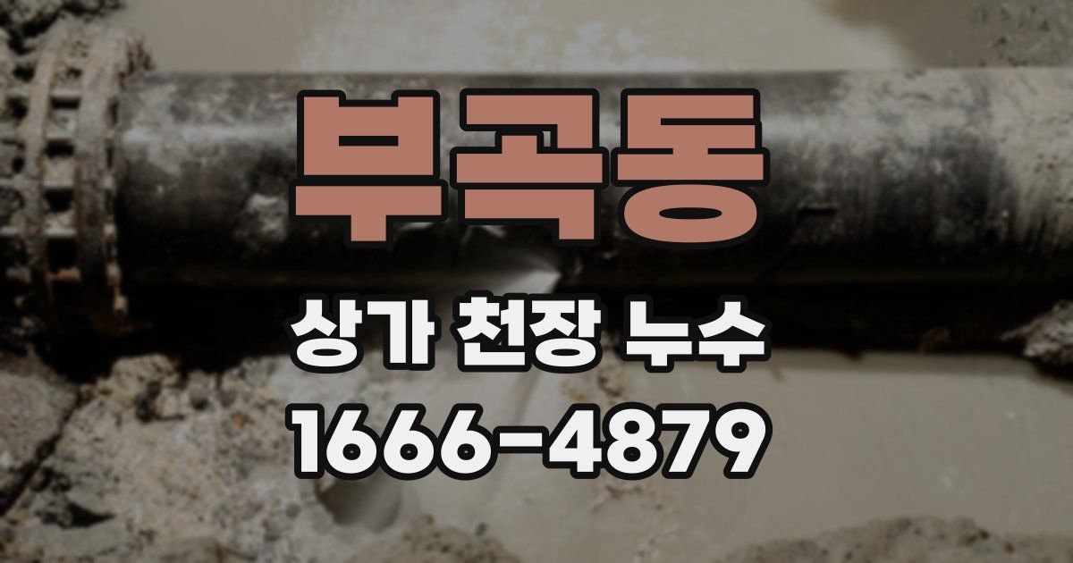 부곡동 상가 천장 누수