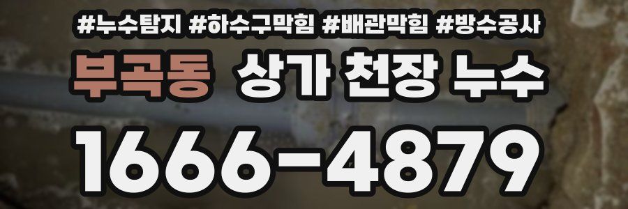 부곡동 상가 천장 누수