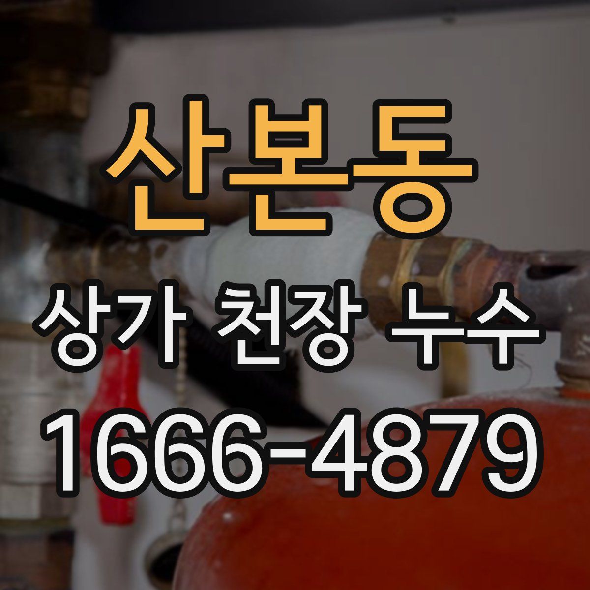 산본동 상가 천장 누수