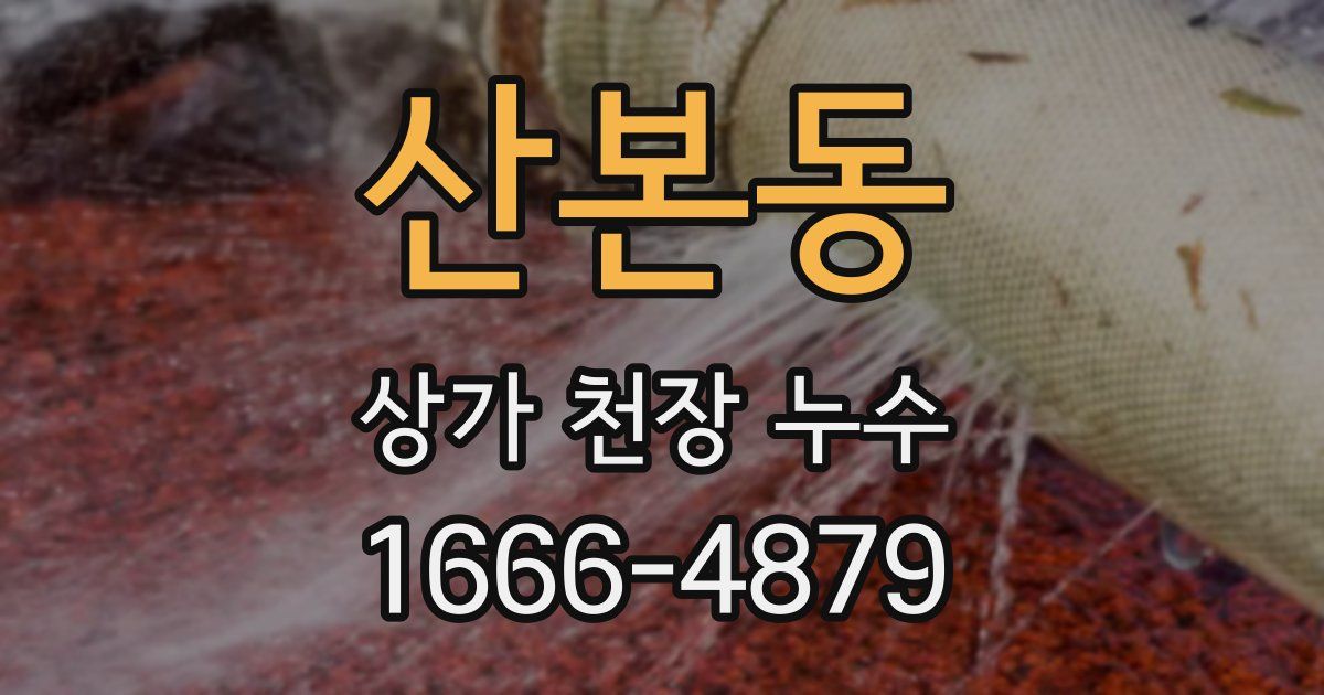 산본동 상가 천장 누수