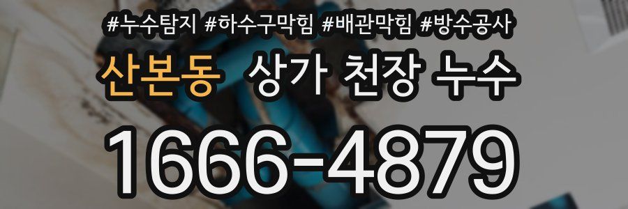 산본동 상가 천장 누수