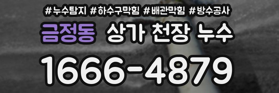금정동 상가 천장 누수