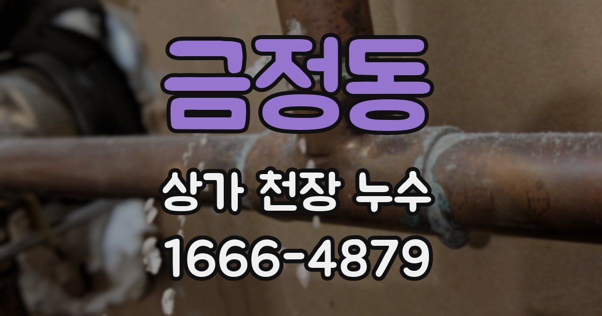 금정동 상가 천장 누수