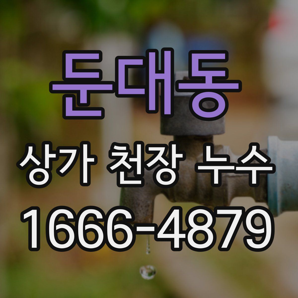 둔대동 상가 천장 누수