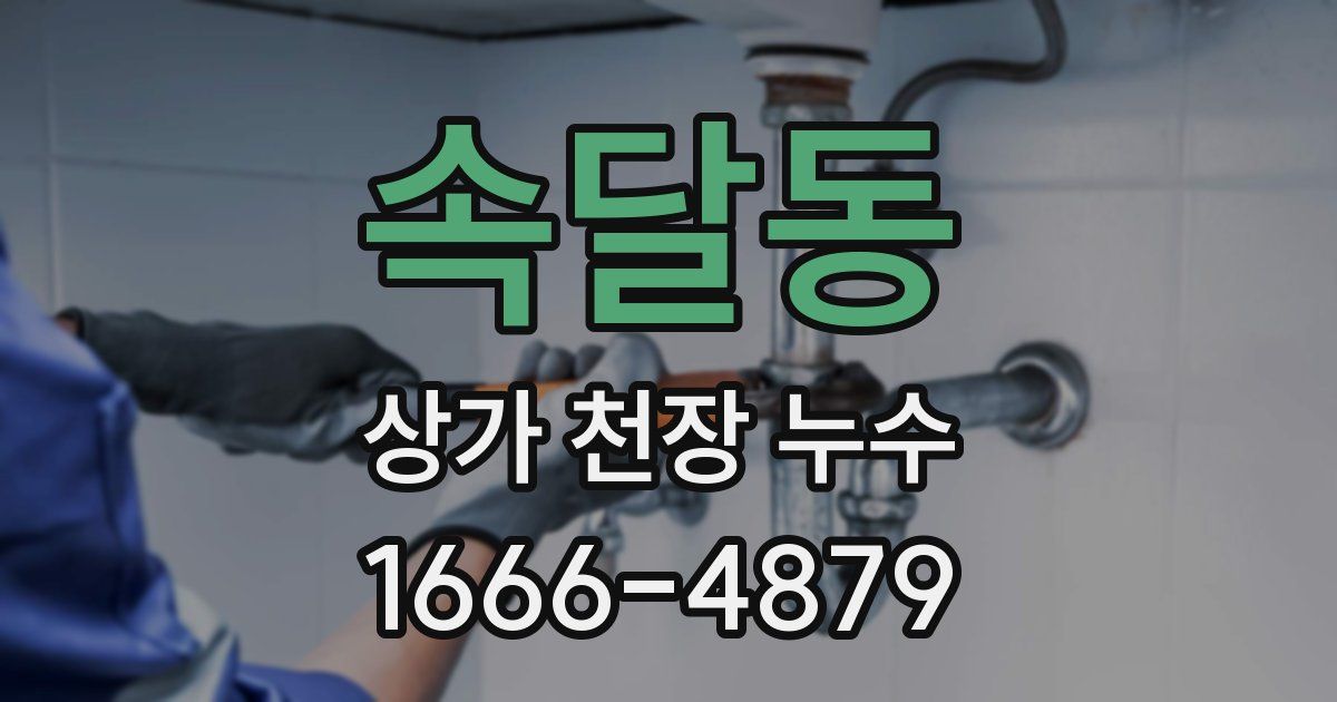 속달동 상가 천장 누수