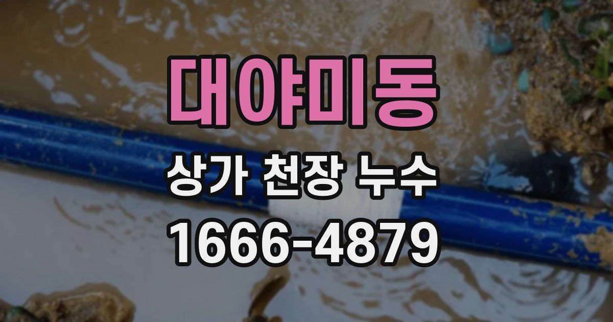 대야미동 상가 천장 누수