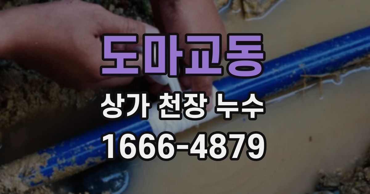 도마교동 상가 천장 누수