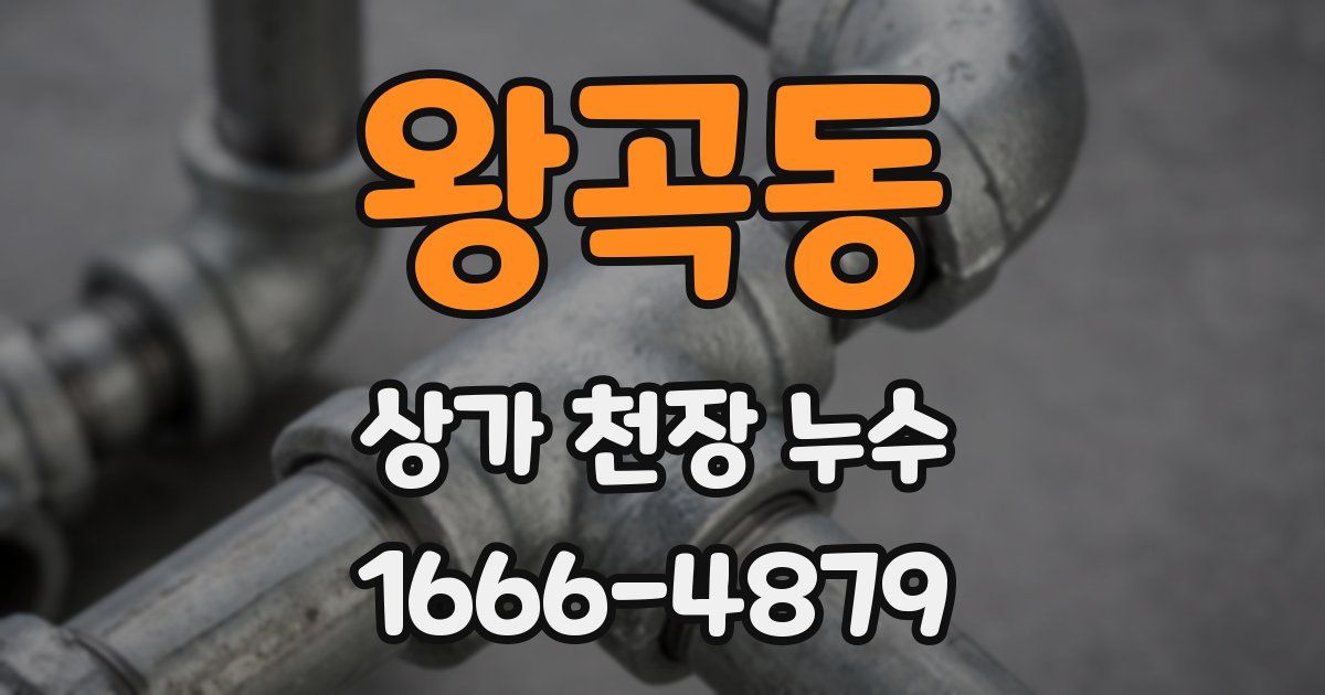왕곡동 상가 천장 누수