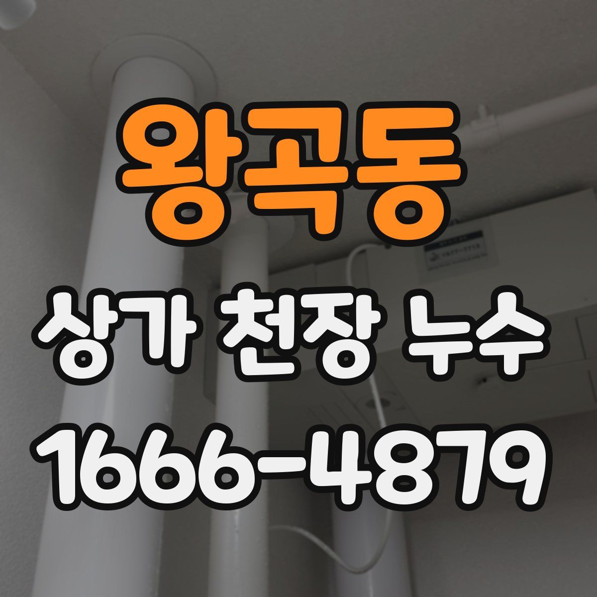 왕곡동 상가 천장 누수
