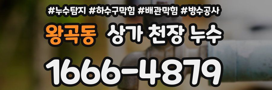 왕곡동 상가 천장 누수