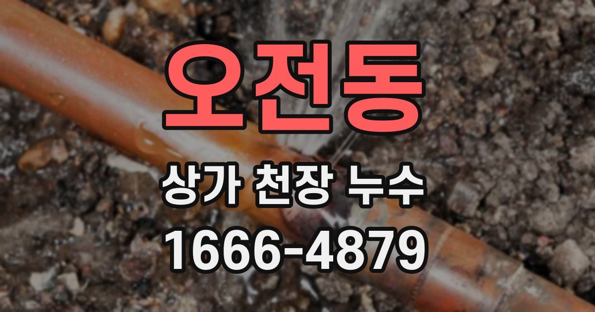 오전동 상가 천장 누수