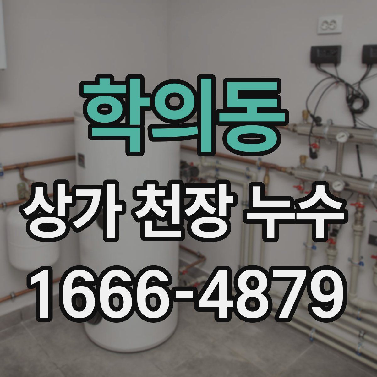 학의동 상가 천장 누수