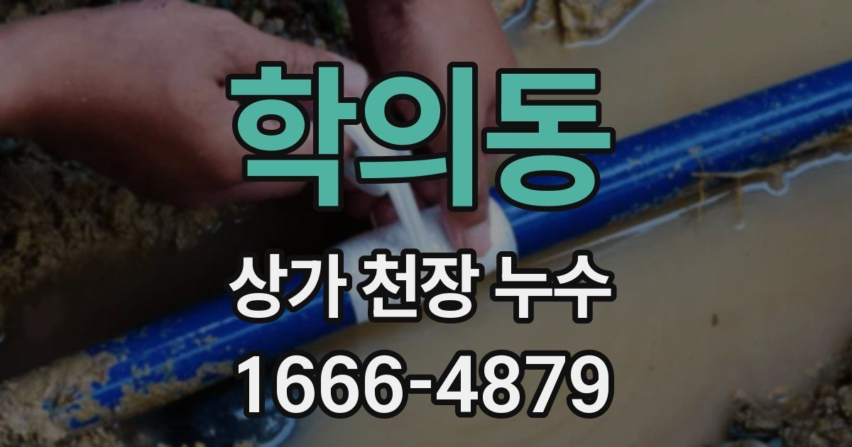 학의동 상가 천장 누수