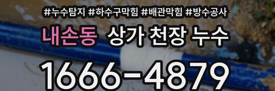 내손동 상가 천장 누수