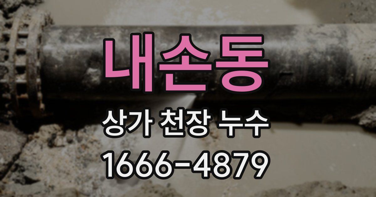 내손동 상가 천장 누수
