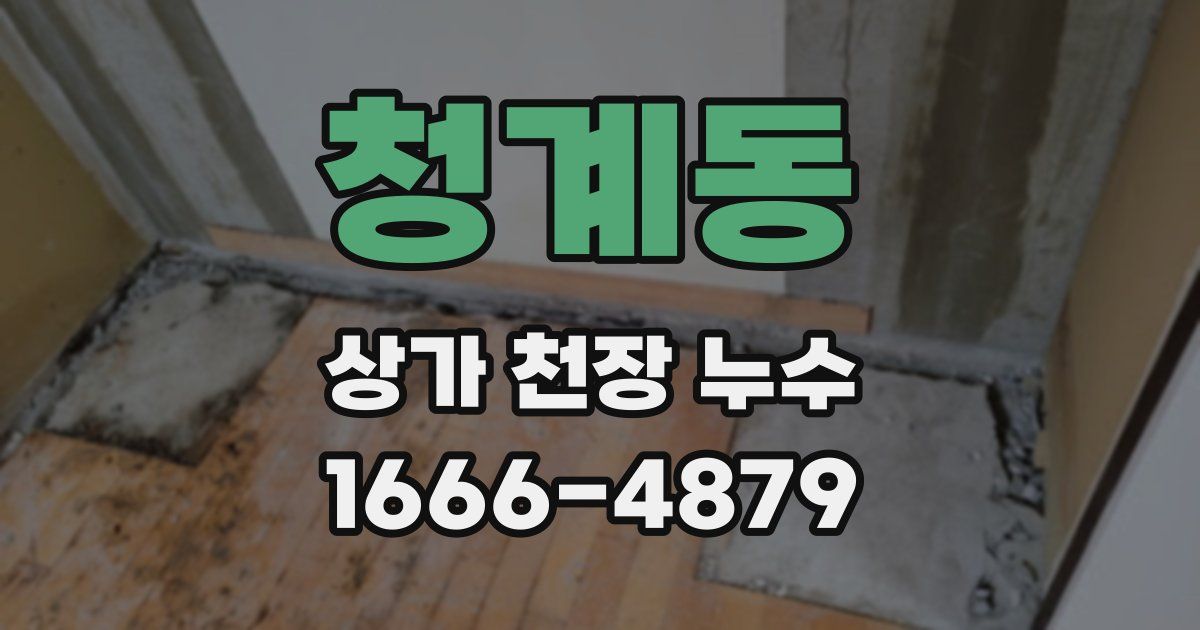 청계동 상가 천장 누수