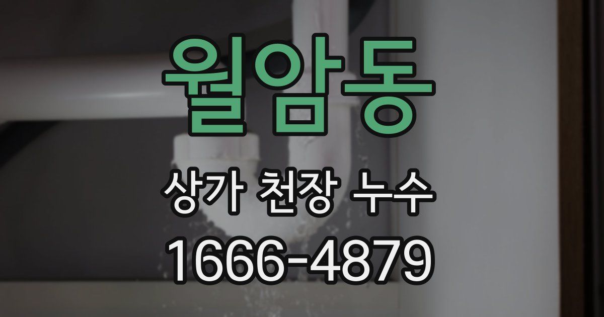 월암동 상가 천장 누수